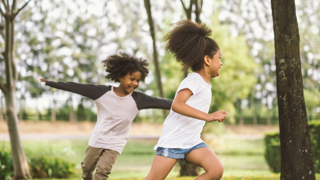 Necessity of Incorporating Herbal Medicine in Tick-Borne Disease