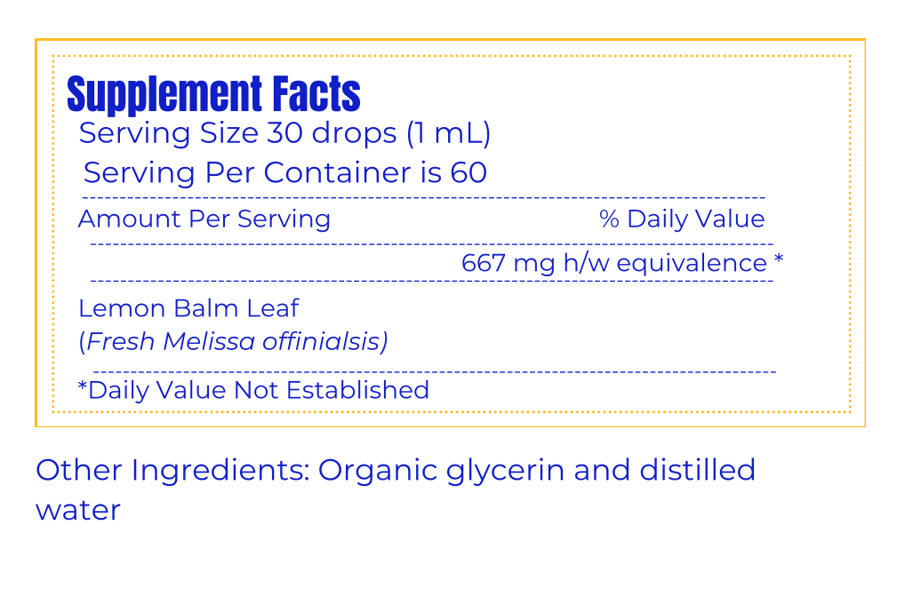 Lemon Balm